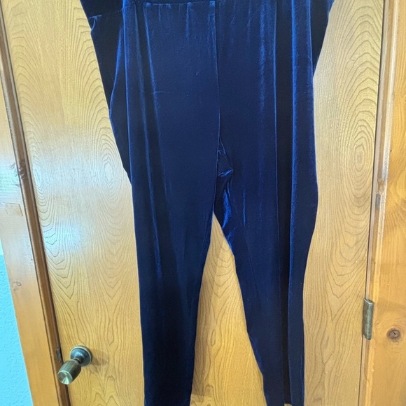 Susan Graver Blue Velvet Pull-On Pants Luxurious Straight-Leg - Picture 3 of 4